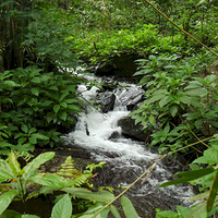 Photo de Bali - Autour de Munduk